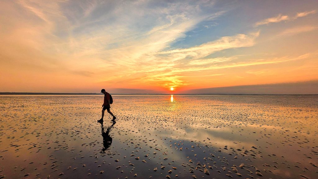 Wattwanderungen in Ostfriesland: Alles, was du wissen musst