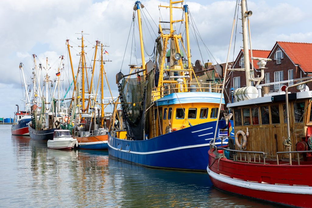 Traditionen, Teekultur und plattdeutsche Sprache – Ein Einblick in das Herz des Nordens