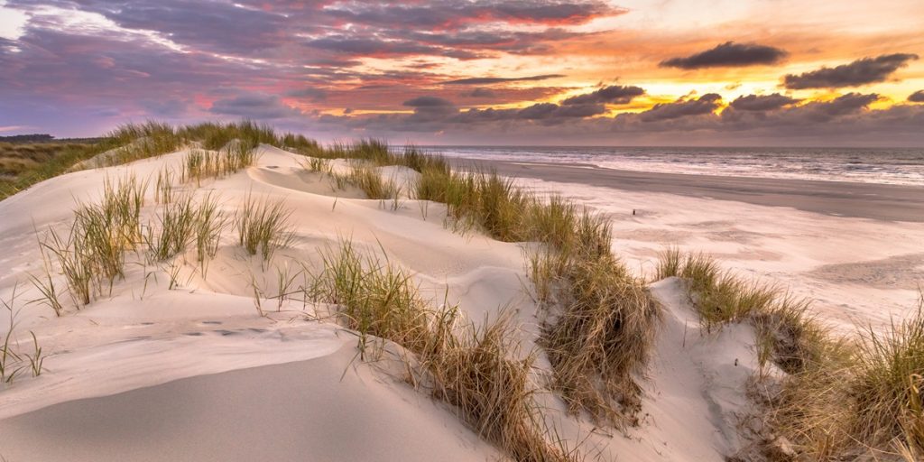 Saunieren im Herbst: Wärme tanken in Ostfriesland