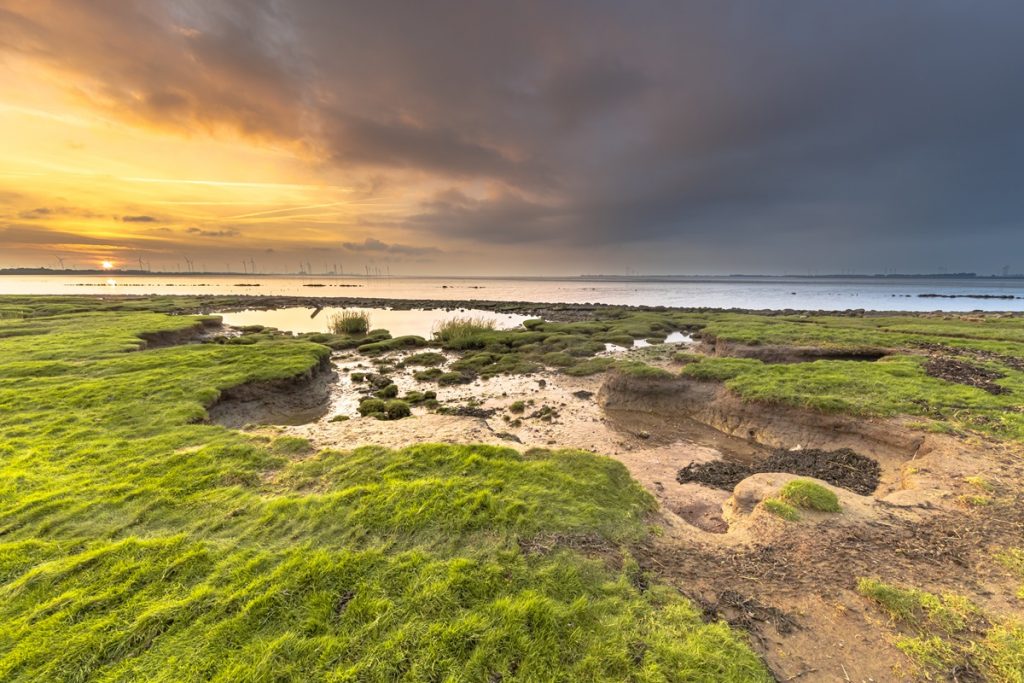 Ostfriesland: so findest du die besten Ausflugsziele