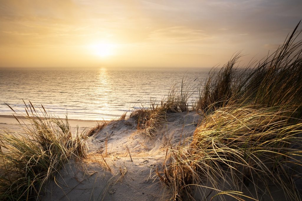 Zum Yoga Retreat an die Nordseeküste
