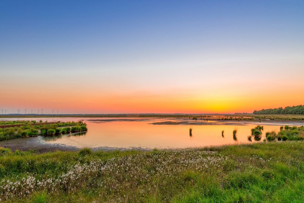 Golf spielen in Ostfriesland
