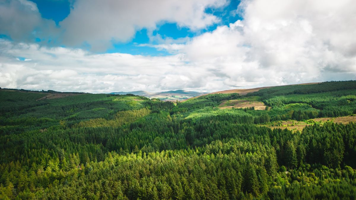 Natur entdecken vor der Haustür | Naturschätze finden