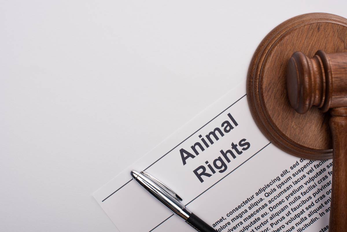 Petition starten in Ostfriesland — so funktioniert es richti