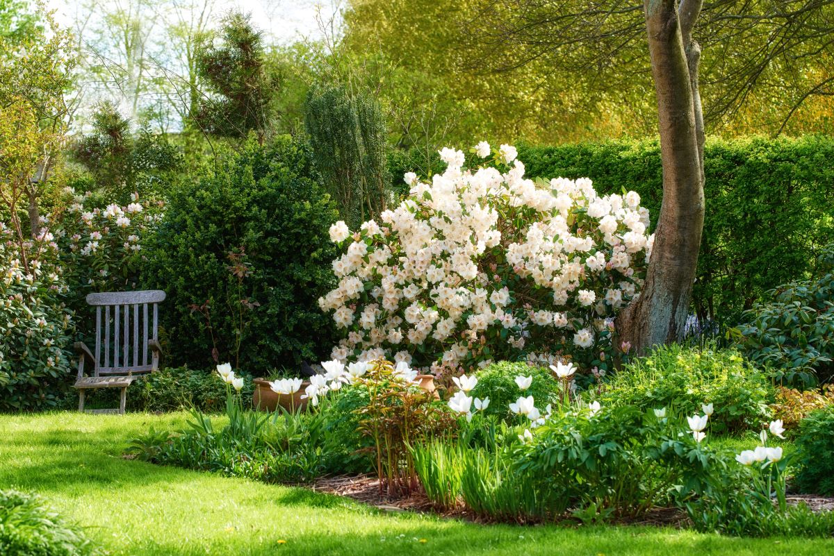 Der Garten als Rückzugsort in Ostfriesland — Ruhe im eigenen