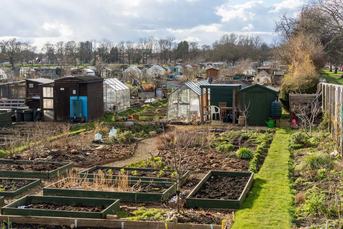 Schrebergarten in Ostfriesland — Das müssen Sie über Pacht u